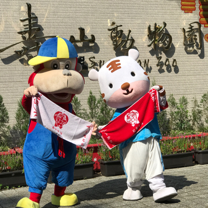 原來猩猩也有心愛小棉被？獨家紅毛猩猩毛巾，壽山動物園限量送。