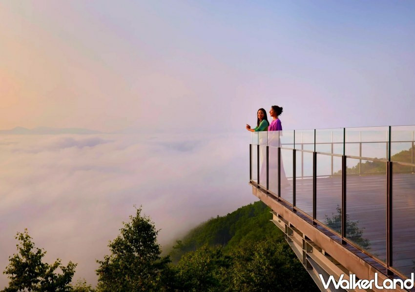 星宇航空 X 星野集團「初戀 愛上春日北海道」自由行套裝/ WalkerLand窩客島整理提供 未經同意不可轉載