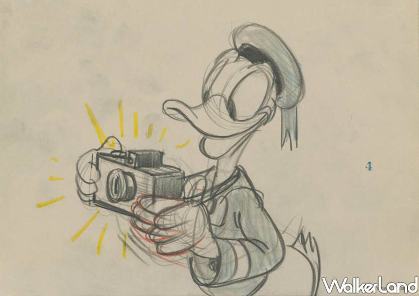 台北中正紀念堂「迪士尼動畫展」/ WalkerLand窩客島整理提供 未經同意不可轉載