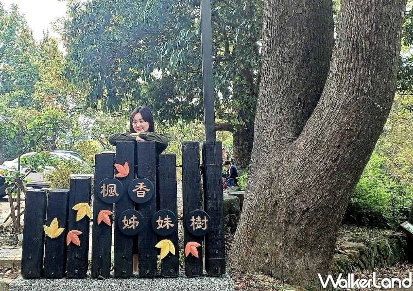 台北陽明山步道「半嶺水圳步道」/ WalkerLand窩客島整理提供 未經同意不可轉載
