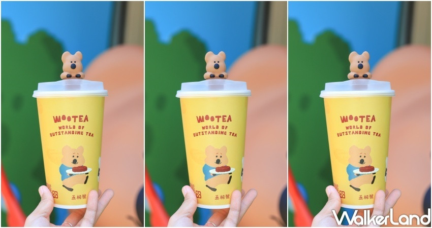 五桐號x DinoTaeng聯名 / WalkerLand窩客島提供 未經許可,不得轉載