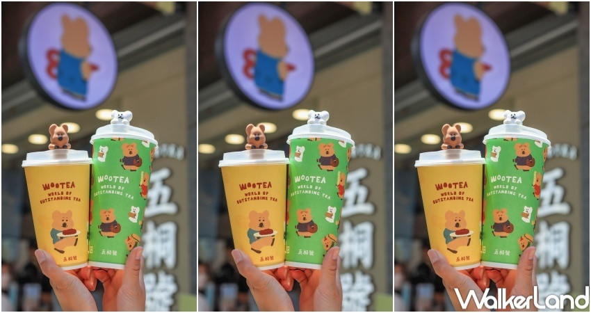 五桐號x DinoTaeng聯名 / WalkerLand窩客島提供 未經許可,不得轉載