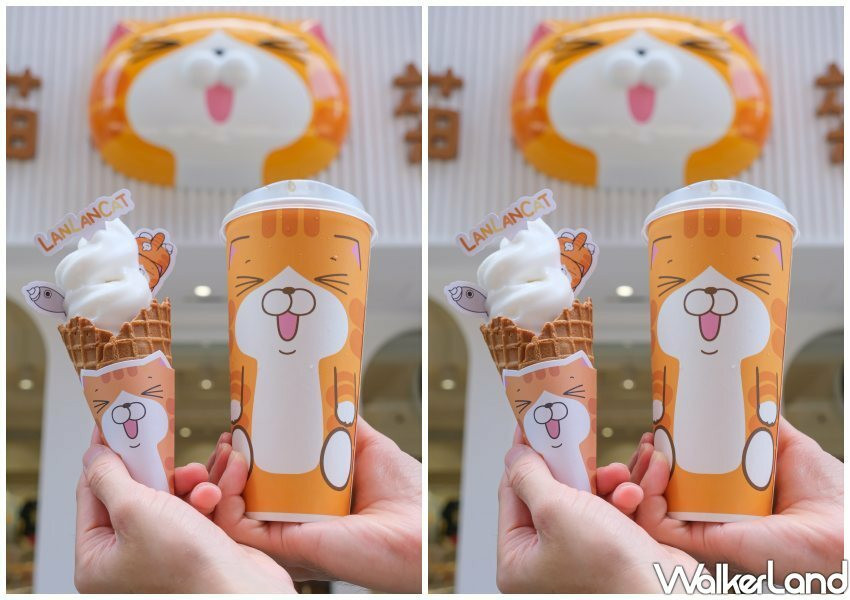 板橋「白爛貓雜貨舖」/ WalkerLand窩客島整理提供 未經同意不可轉載