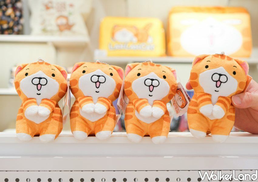 板橋「白爛貓雜貨舖」/ WalkerLand窩客島整理提供 未經同意不可轉載