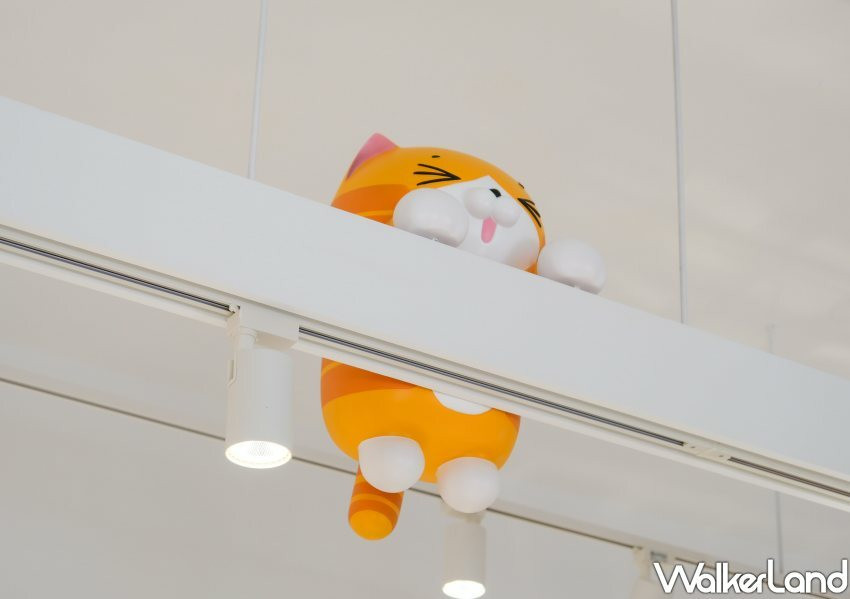 板橋「白爛貓雜貨舖」/ WalkerLand窩客島整理提供 未經同意不可轉載