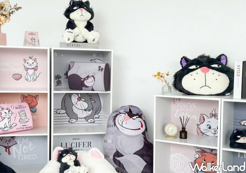 迪士尼魯斯佛、瑪麗貓周邊商品/ WalkerLand窩客島整理提供 未經許可不可轉載