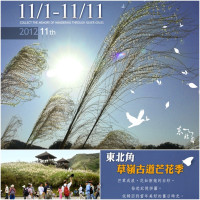 翻滾吧！微醺芒花遍遍開滿草嶺古道囉！