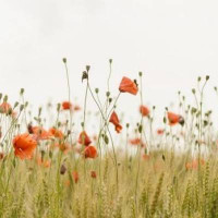 ❤Bella媽咪出遊去❤