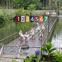 擁有400多頭乳牛的規模，並轉型為觀光休閒農場，「綠盈牧場」成了體驗酪農業文化的最佳園區。