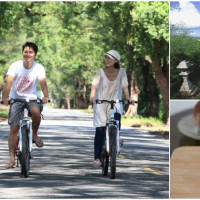 搭乘火車台東線，花蓮台東路段騎鐵馬在綠色隧道遊玩、逛書苑喝杯好茶、還能品嚐不少道地小吃體驗在地風情。