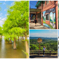 蘆竹秘境大公開！7個隱藏版「桃園蘆竹景點」網美必訪，夏季限定「蔥綠色落羽松」、桃園最長「河岸步道」，帶你走進桃園最療癒的一角。