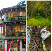 不出國就有宮崎駿場景！全台7個「宮崎駿景點」怒拍一波，療癒神秘「龍貓隧道」、激似魔法公主「秘境叢林」，一秒讓你置身吉卜力的奇幻世界。