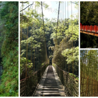 走訪竹山忘憂聖地！南投7個「竹山打卡景點」療癒度破表，橫跨大峽谷「吊橋天梯」、沁涼壯麗「竹山第一美瀑」，一網打盡南投最好拍角落。
