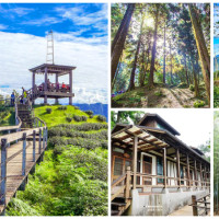 探索鹿谷森林之美！南投必訪7個「鹿谷一日遊景點」綠意滿點，雲霧仙境「銀杏森林」、全台最美「森林小學」，享受被綠林擁抱的片刻悠然。