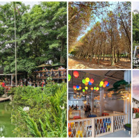 誰說嘉義只有阿里山！嘉義隱藏版7個「中埔打卡景點」快筆記，全台首間「穀倉星巴克」、佔地千坪「南台灣最美落羽松」，帶你揭開嘉義隱藏美景。