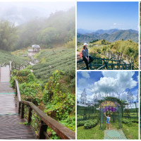 還沒去過太落伍！37個絕美「嘉義打卡景點」全收下，手刀打卡嘉義自然系景點、網美景點，攻佔嘉義人的後花園。