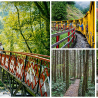 衝宜蘭打卡先筆記！7個大同「自然系景點」不能不知道，走入「溪林秘境、神木園區」仙境美照一路拍不停。