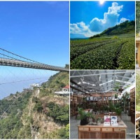嘉義梅山景點不只太平雲梯！熱搜7個嘉義梅山景點攻略，超華麗龍王金殿、梅山茶園雲之南道步道、文青景點空氣圖書館通通要拍。