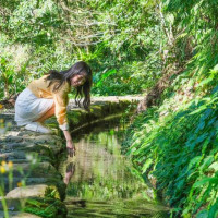 只知烏來老街很不行！烏來最美秘境「德拉楠」古圳步道、拱橋流水、櫻花相伴美出新高度，順遊吃「5選烏來美食」。