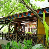 嘉義阿里山美食秘境7選！嘉義最推「超大份量火鍋 阿里山森林茶屋」，賞阿里山櫻花順吃。