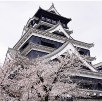 熊本賞櫻必衝熊本城！日本三大名城之一、代表性熊本景點，馬肉刺身等你嚐鮮。