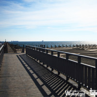 高雄旅遊懶人包Part.4-西子灣【台南高雄Walker】