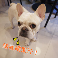 【新開幕】Mr.果 喝果汁也搞時尚和創意 療癒系果汁店