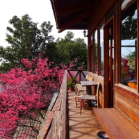 再說淡水美食只有阿給試試看！不管是淡水人、淡江人還是真理人一定要知道17間「淡水隱藏版美食」，文青、老宅、景觀甜點店一次給你。