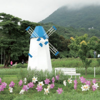 《Fun暑假》野外郊遊必備 叮寧防蚊液幫你阻隔小黑蚊