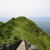 遠離喧囂不離城！新北64條山海步道大公開，7大主題帶您一起踏青去！