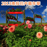 《埔里》南投花卉嘉年華 2013年度最後一檔賞花盛會 周日登場