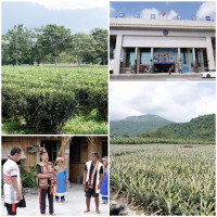 台東怎麼玩？台東景點一日行程教戰SOP！吃台東、玩台東、樂台東，一起瘋台東！