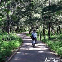 TaipeiWalker 宜花東特刊：最美單車路線漫遊森林湖景
