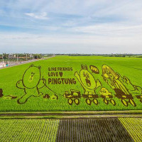 全球第一座LINE FRIENDS彩稻田！國際彩稻藝術節3/28屏東登場！
