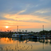 台南風土小旅行！七股海鮮節「觀光赤嘴園挖文蛤」一起摸蛤仔兼洗褲！