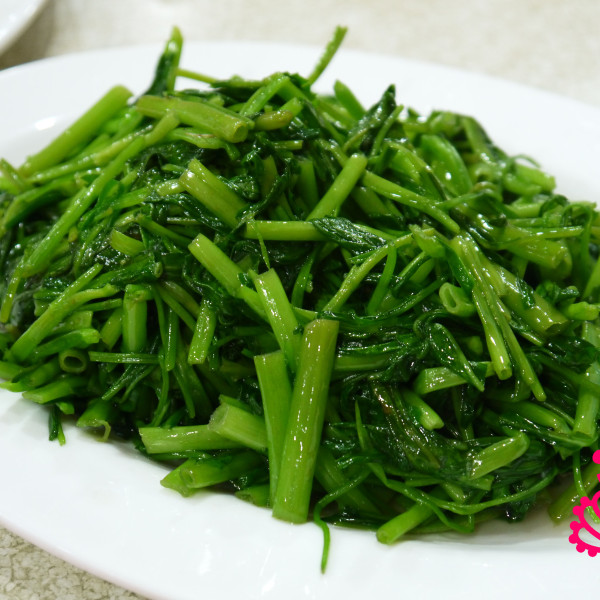 台灣山豬城(珍珠嶺關係農場)