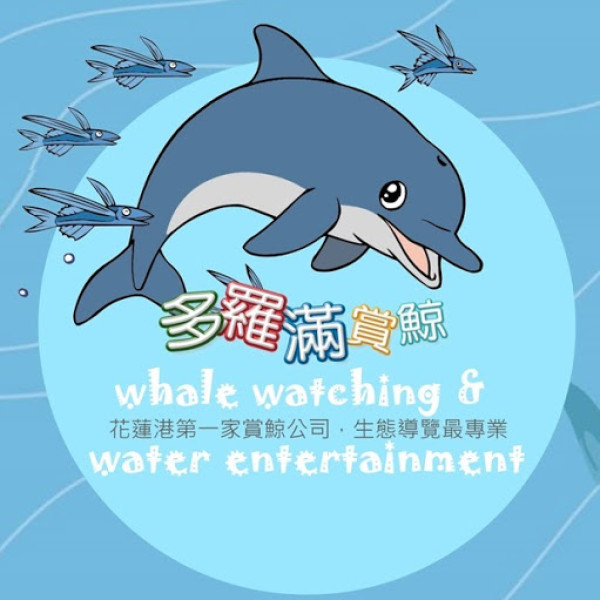 花蓮多羅滿賞鯨