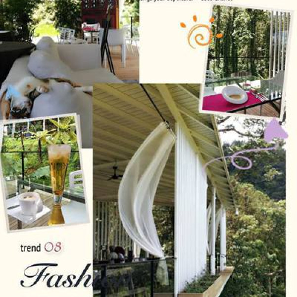 九樹森林la felicita`時尚窯烤Pizza、樂活餐食、義式咖啡