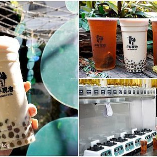 貓頭鷹茶森林中科店