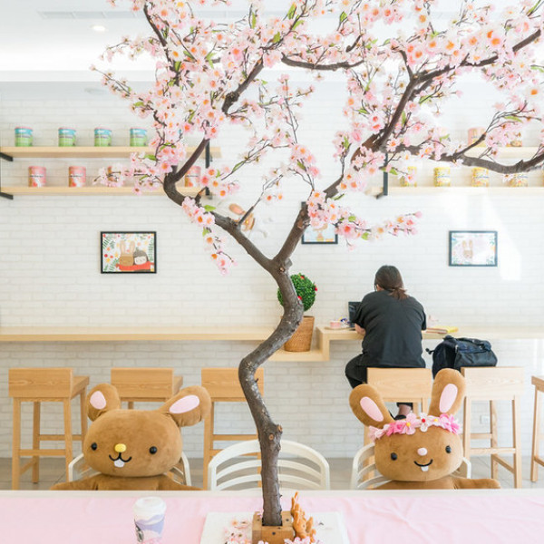 Popo Bunny 花花邦妮