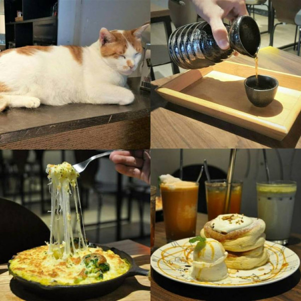 貓嘰咕咖啡．蔬食