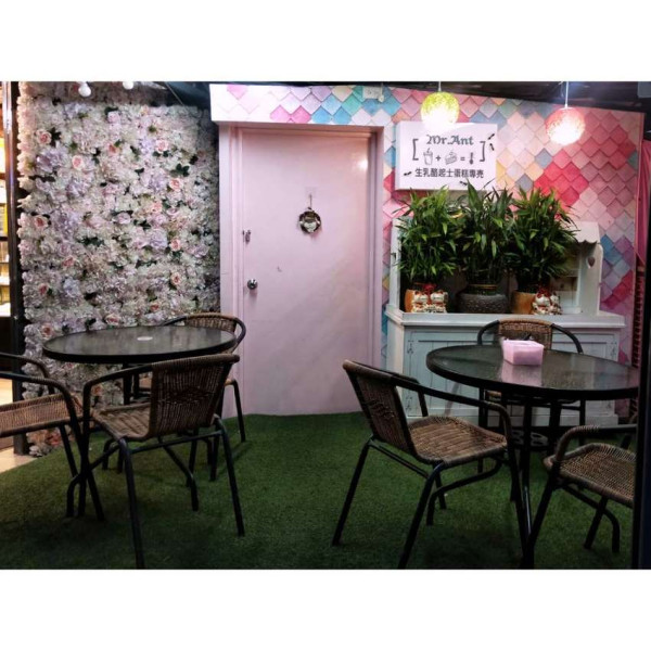 螞蟻先生Mr.Ant生乳酪起士蛋糕專売