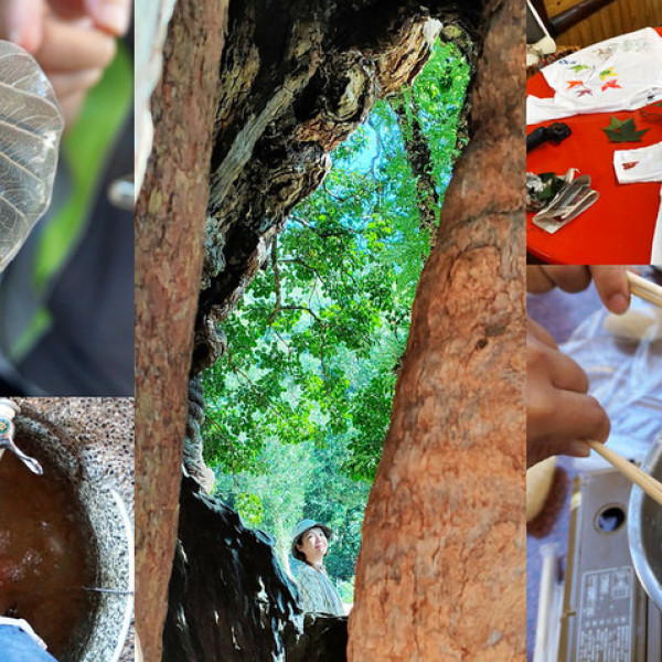 南投糯米橋客家庄農遊微旅行