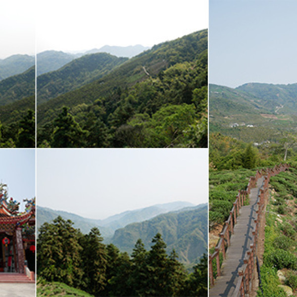 太興岩景觀茶園步道
