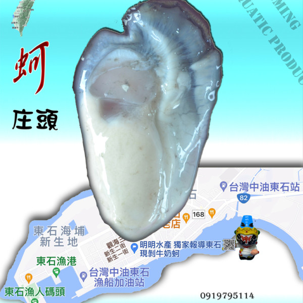 嘉義縣東石鄉推薦海鮮