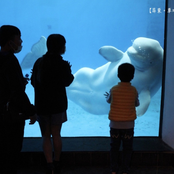 【屏東親子旅遊景點】夜宿海生館（下）。