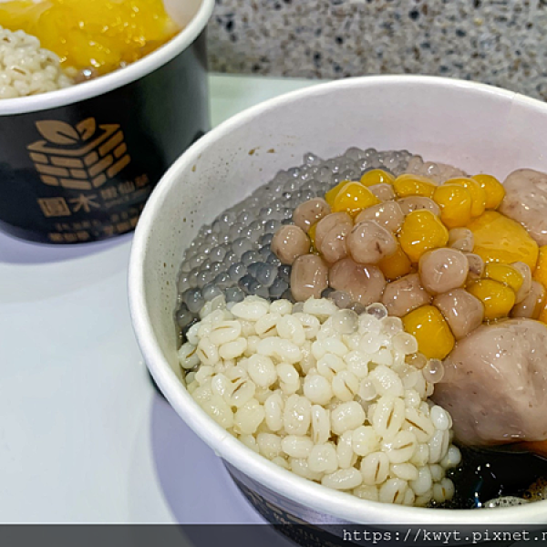 圓木嫩仙草台中大業店