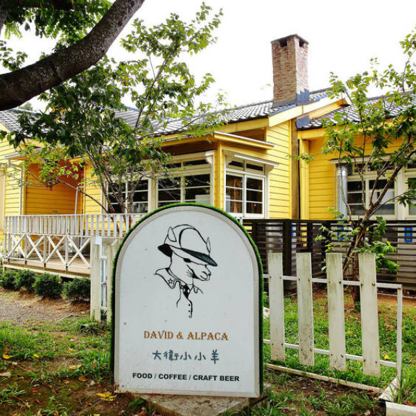 大衛小小羊David& Alpaca