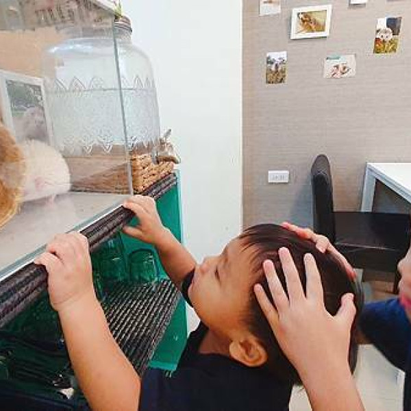 拉斐爾義式刺蝟主題餐廳