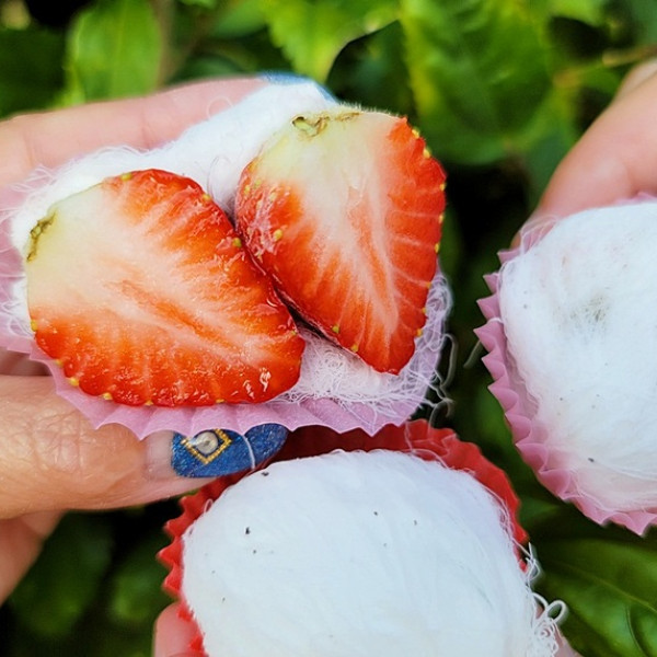 糖品家龍鬚糖白糖蔥